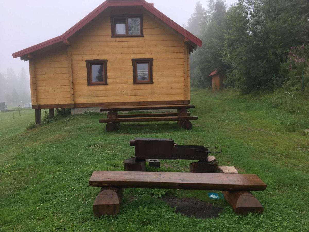 Baza Vidpochynku Ilz Vila Slavske Exterior foto