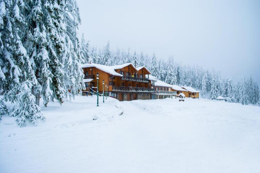 Baza Vidpochynku Ilz Vila Slavske Exterior foto